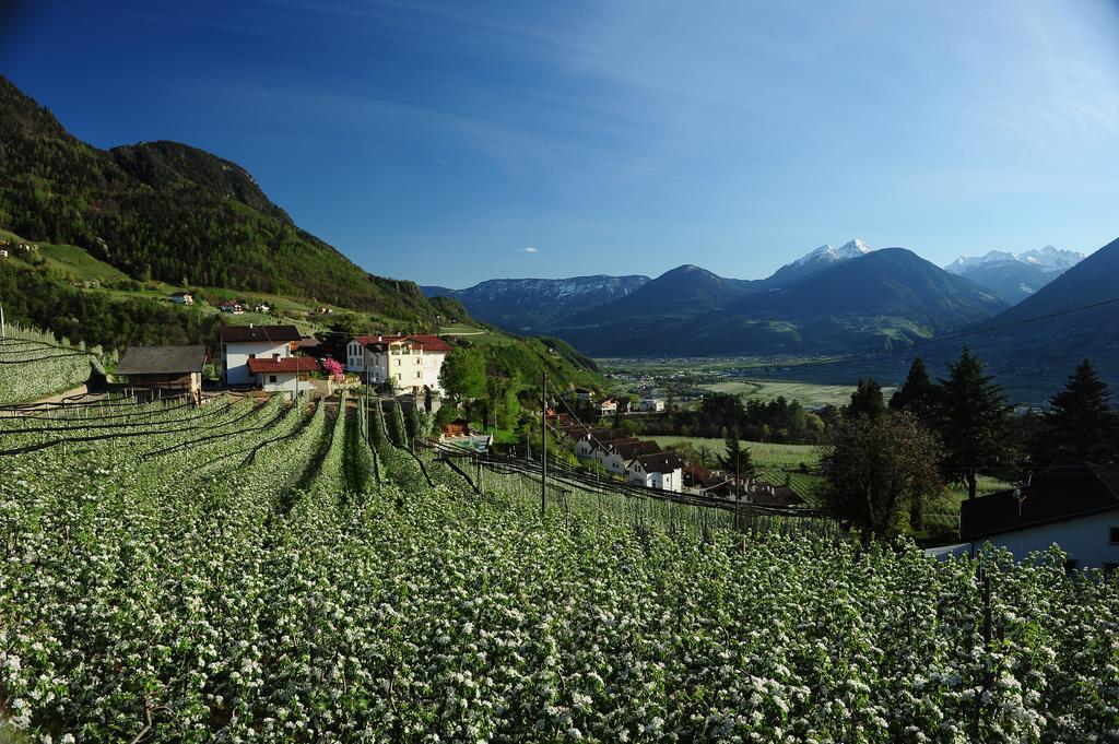 Aparthotel Boutique Sonne 4*